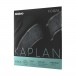 D'Addario Kaplan Forza Viola String Set, Long Scale, Medium