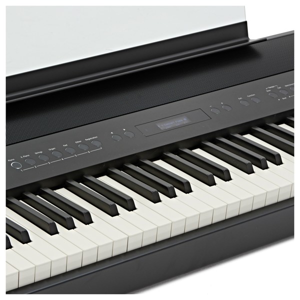 Roland FP-90 Digital Piano, Black