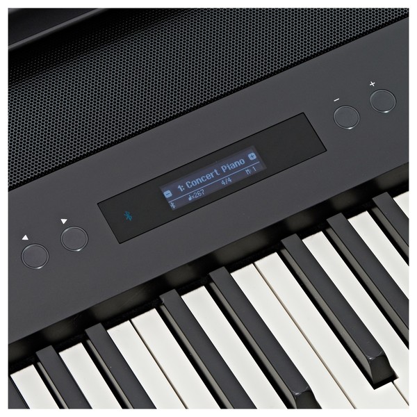 Roland FP-90 Digital Piano, Black