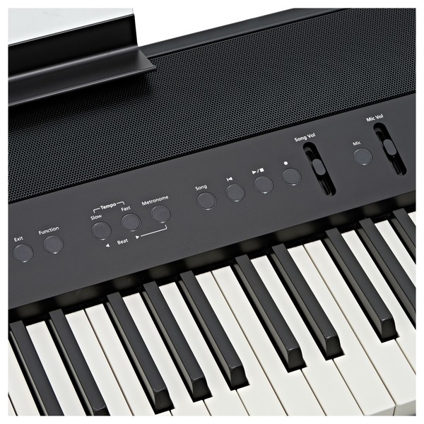 Roland FP-90 Digital Piano, Black