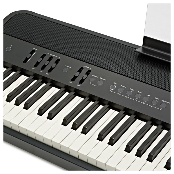 Roland FP-90 Digital Piano, Black