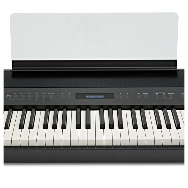 Roland FP-90 Digital Piano, Black