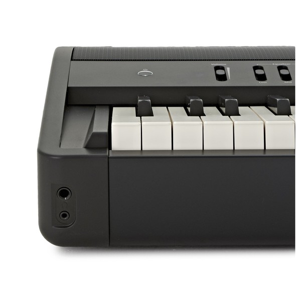 Roland FP-90 Digital Piano, Black