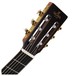 Sigma CMC-STE+ Electro Classical Guitar, Natural Headstock View