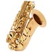 Conn Selmer Liberty Alto Saxophone Gold Lacquer