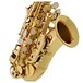 Elkhart 100SSU Curved Soprano Saxophone