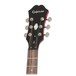 Dot Archtop, Cherry