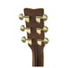 LL6ARE Electro Acoustic, Black