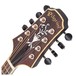 Pilgrim New World Mandolin A Style, Dark Brown Headstock View