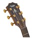 Taylor 914ce, V-Class Bracing headstock