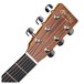 Martin GPCE Black Walnut, Ambertone Headstock View