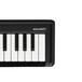 Korg microKey 37 Key USB Controller Keyboard 