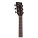V300 Acoustic Guitar, Black