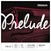 D'Addario Prelude Cello C String, 1/8 Size, Medium