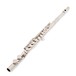 Odyssey OFL100 Debut Flute