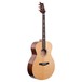 PRS SE TX20E Tonare Electro Acoustic