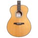 PRS SE T50E Tonare