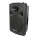 QTX QR15 15'' Passive PA Speaker 2