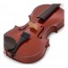 Primavera 100 Violin, 1/4