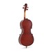 Primavera 90 Cello Outfit 4/4