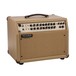 Mesa Boogie Rosette 300 2x8 Acoustic Combo right