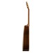 Seagull Guitars Artist Studio CW Element with DLX TRIC