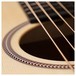 Seagull Guitars Artist Studio CW Element with DLX TRIC