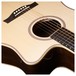 Seagull Guitars Artist Studio CW Element with DLX TRIC