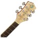 Luna Fauna Hummingbird Parlor Electro Acoustic Guitar Neck & Headstock View