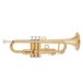 pTrumpet Hytech Trumpet Package, Gold