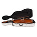 Eastman Master Series Cello Outfit with Gold Level Set Up