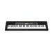 Casio CTK-2500 Portable Keyboard, Black