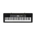 Casio CTK-2500 Portable Keyboard, Black