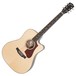 Gibson Hummingbird Walnut AG 2018, Antique Natural Front View