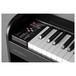 Dexibell Vivo H1 Digital Piano, keys close up