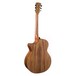 Faith Trembesi Venus Electro Acoustic Back View