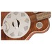 Fender Brown Derby Resonator RW, Brown Stain Close