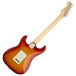 Fender American Elite Stratocaster EB, Aged Cherry Burst Back