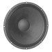 Eminence Gamma-15A Speaker Driver Front