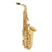 Yamaha YAS62 Professional Alto Saxophone, Gold