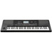 Korg PA300 Professional Arranger Keyboard 1