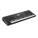 Korg PA300 Professional Arranger Keyboard