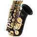 Elkhart 100AS Student Alto Saxophone, Black