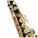 Elkhart 100AS Student Alto Saxophone, Black