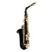 Elkhart 100AS Student Alto Saxophone, Black