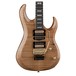 Dean USA Michael Angelo Batio