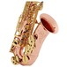 Buffet Senzo Alto Saxophone, with Copper Body & Brass Keys