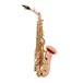 Buffet Senzo Alto Saxophone, with Copper Body & Brass Keys