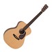 Martin GPX1AE Electro Acoustic
