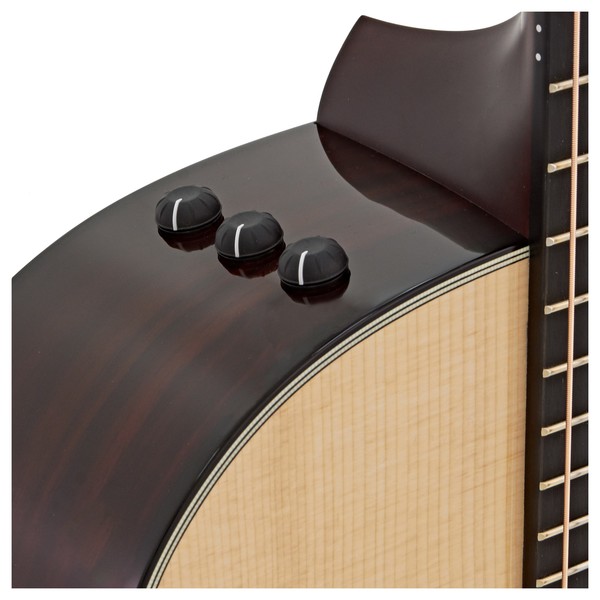 Taylor 814ce NAMM LTD Electro Acoustic, Cocobolo & Singing Sitka